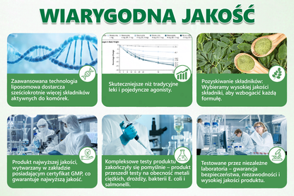 🪶💙𝑨𝑵𝑮𝑬𝑳𝑻𝑹𝑨𝑷® Moringa × Berberyna × AMPK 10-w-1 Wsparcie metaboliczne, plaster z nanotechnologią mikroigłową 🇵🇱(Wystarczy raz dziennie, widoczne efekty w 7 dni) ✅ Na otyłość, wiotką skórę, bezdech senny, problemy ze stawami i wiele innych